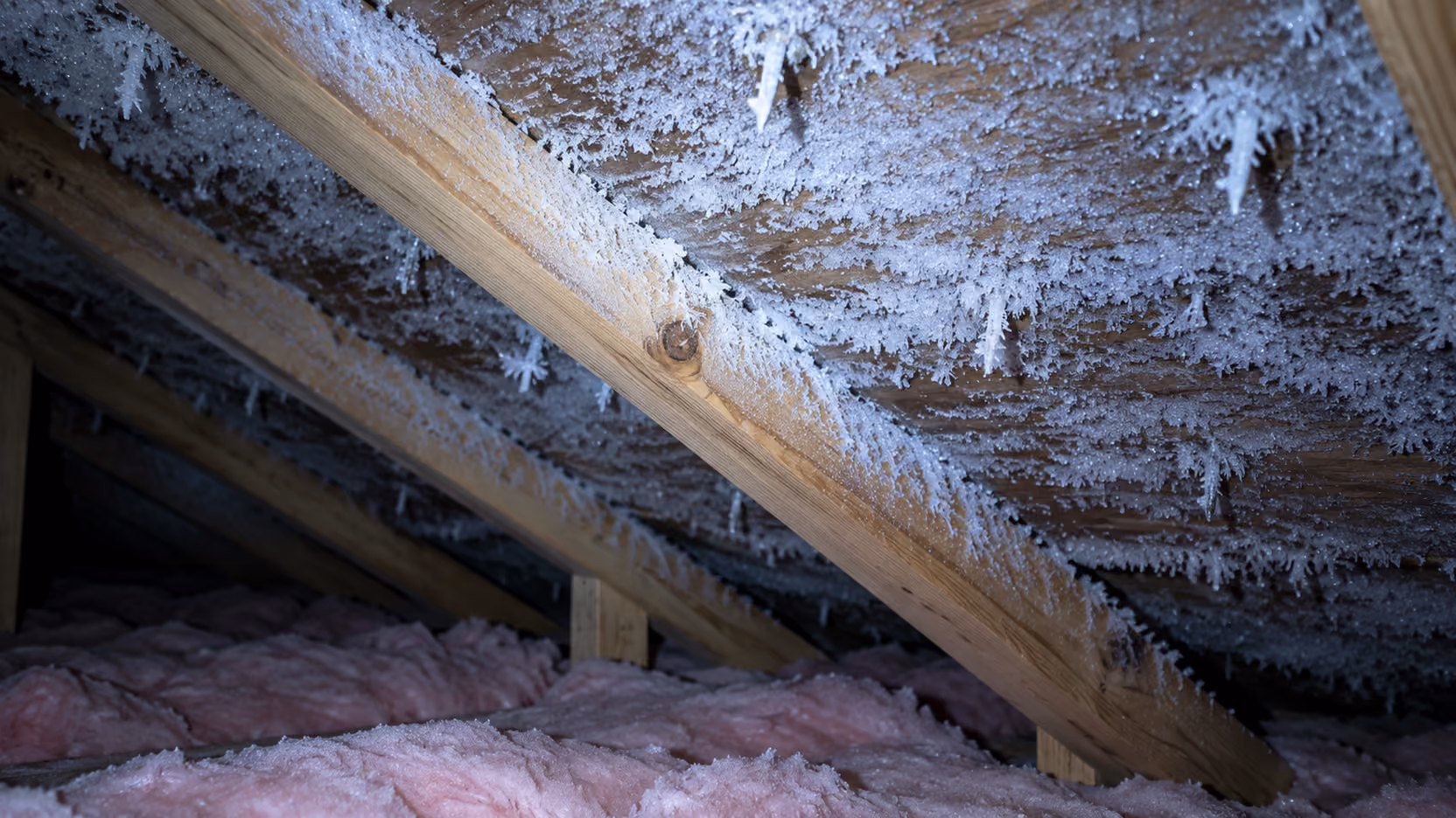 Heavy frost crystals on the underside of the roof deck and rafters in an attic in January, Wasilla