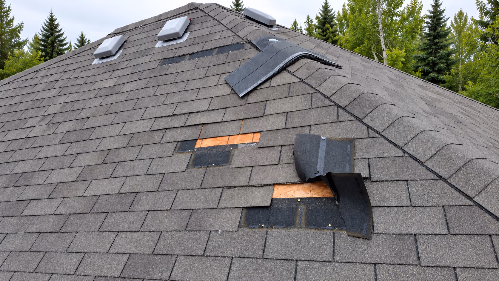 Wind-lifted and torn-off shingles exposing underlayment and roof deck below the ridge