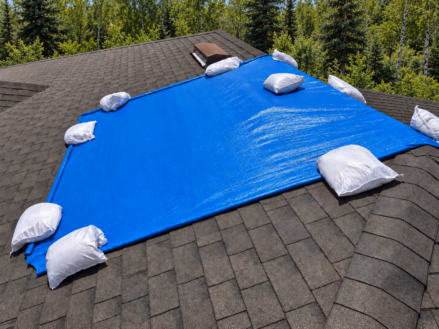 Blue tarp secured with sandbags over wind damage on a shingle roof